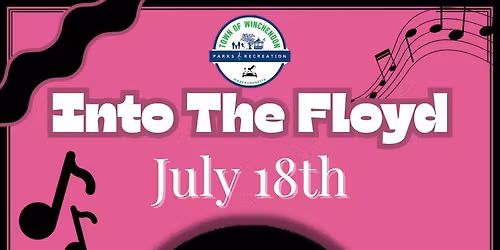 Into The Floyd Concert