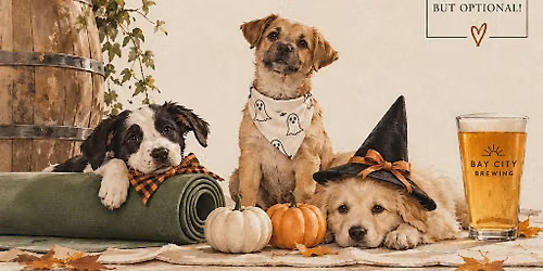 A Howl-O-Ween Pilates Event @ Bay City Brewing