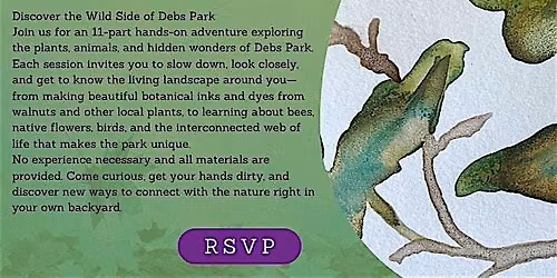Free Art in Nature classes at Deb's park