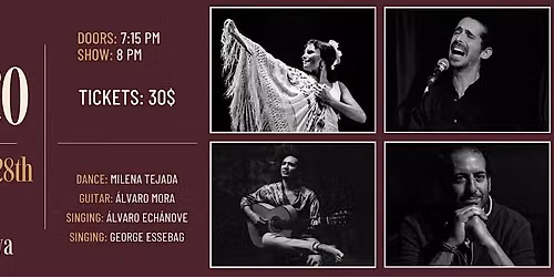 Noche de Flamenco