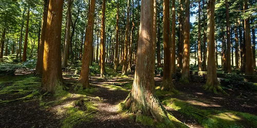 Wilderness Survival Skills