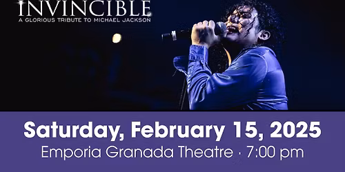 Invincible A Tribute to Michael Jackson