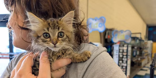 Petco Adoption Event