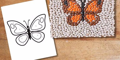 Kids Seed Art