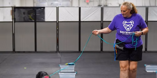 July AKC Scent Work Trials