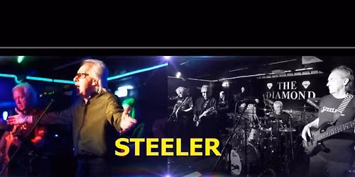 STEELER AND FRIENDS 