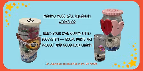 Marimo Moss Ball Aquarium