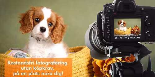 Arken Zoo Uppsala Gr\u00e4nbystaden - Kostnadsfri djur-, barn- och familjefotografering