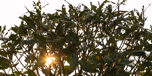 Saturday 2nd May - Closed to the general public