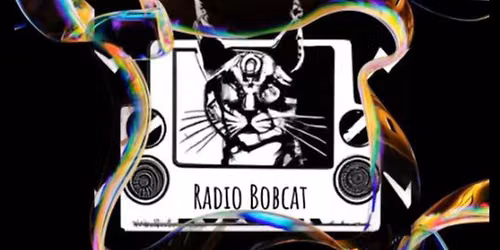 Radio Bobcat