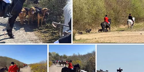 Cefn Cribwr RFC : New Years Day 2026 - CF32 0BA