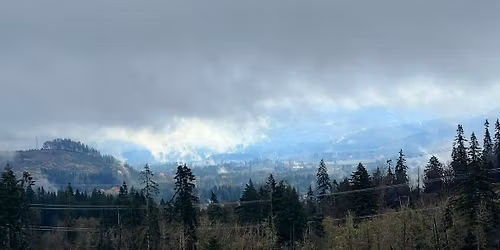 Opening Day \u2014 Lamb\u2019s Christmas Trees\u2014 Fairfield, Ca