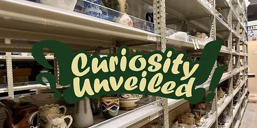 Curiosity Unveiled: Museum Collections Tour