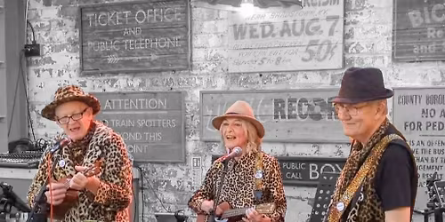 Buzz Cadillac and the Lightning Rods live at Chew's Yard