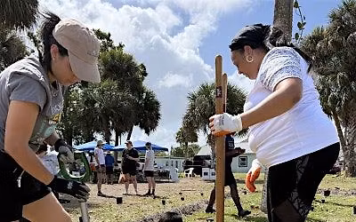 South Melbourne Food Forest - 2nd Planting Day