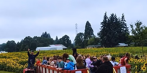 Pumpkin Patch