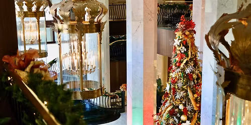 3rd  Annual Tree Lighting Ceremony