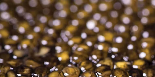 SIMON JOHNSON & Moncur Cellars: Champagne & Caviar Tasting Event