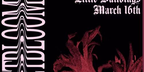 Spacecadetbloom\/\/Nadine Hurley\/\/Exit\/\/Subterranean