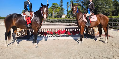 Professional Equestrian Development Camp - Week 3