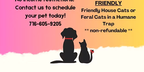 Low Cost Spay and Neuter