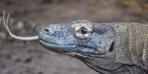 Venom Symposium at ZooTampa