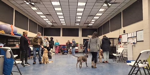 Beginner Group Class \/ 100L