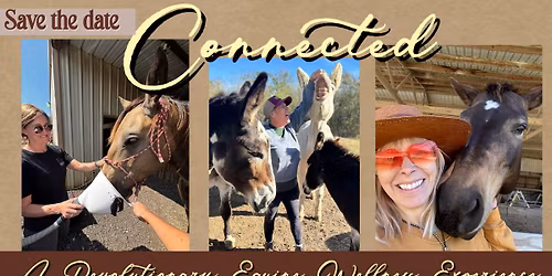 Connected~A Revolutionary Equine Wellness Experience.