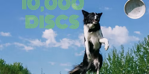 Land of 10,000 Discs 2026 