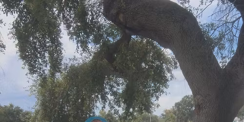 Chrissy DeRado & Erin Boone @ Neptune Grill