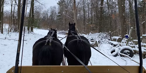 Christmas Farmstand and winter Carriage rides