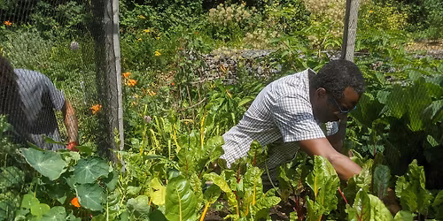Volunteer Taster Session