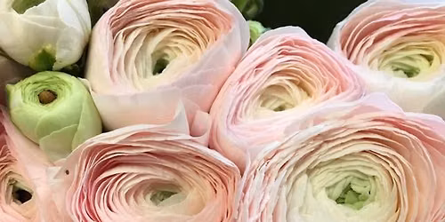 Bloom Club at Marcliffe