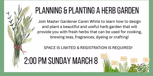 PLANNING & PLANTING AN HERB GARDEN