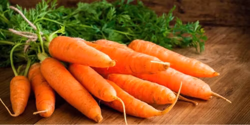 Food Pantry Distribution