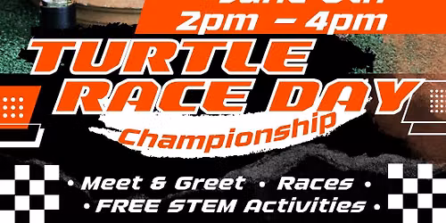 Turtle Race Day