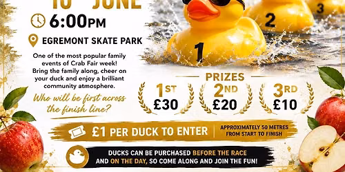 Duck Race Competition