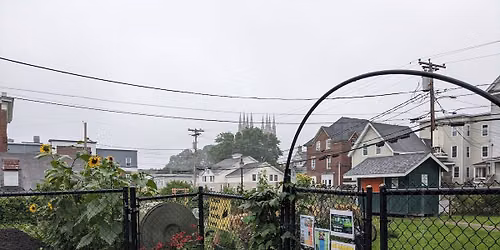 Grow Food Safely in Urban Soils \u2013 Lewiston