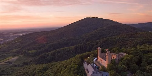 Alsbach Castle & Forest Hiking Adventure
