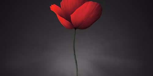 REQUIEM AD PACEM - OEUVRE POUR LA PAIX