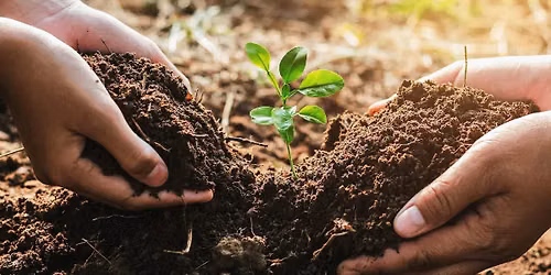 DIGGING INTO SOIL