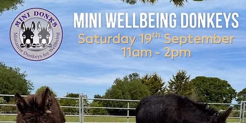 Miniature Donkeys Wellbeing Visit