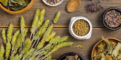 Plant Medicine with Earth Girl Heather Duff