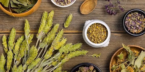 Plant Medicine with Earth Girl Heather Duff