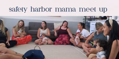 Holistic Mom Meet Up