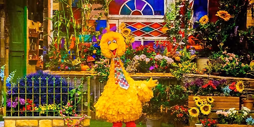 Sesame Street Live - Newark