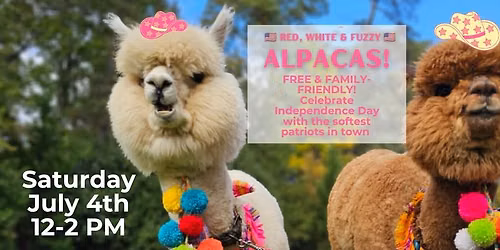 \ud83e\udd99 The Alpacas Return to Frozen Yogi!