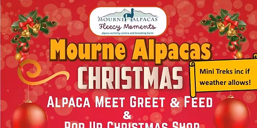 Mourne Alpacas Christmas Meet Greet and Pop up Shop