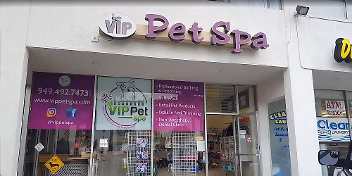 San Clemente - Dog dental cleaning