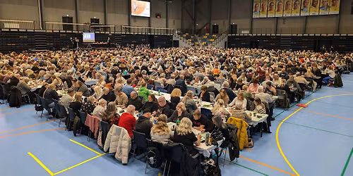 Thors Bingo Show 2026